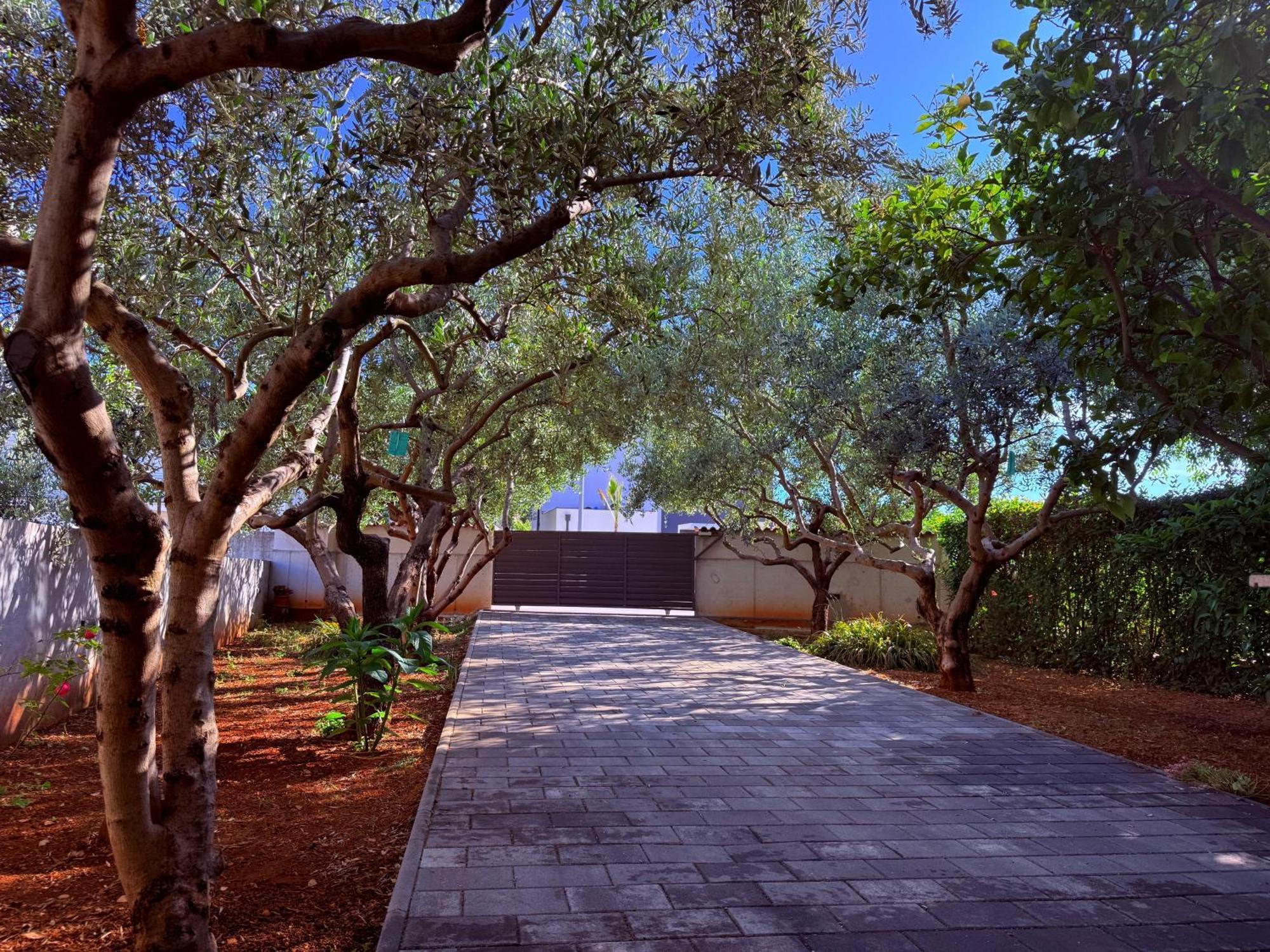 Apartment Casali Zadar Exterior foto